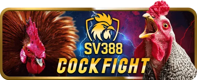 Hỗ trợ khách hàng tận tâm tại bet88keo link vào